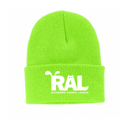 Beanie - Neon Green